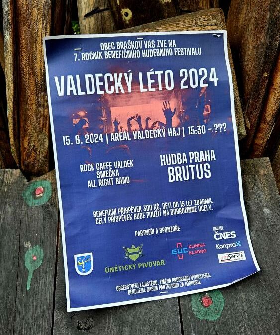 Valdecký léto 2024 / Rockový benefiční festival